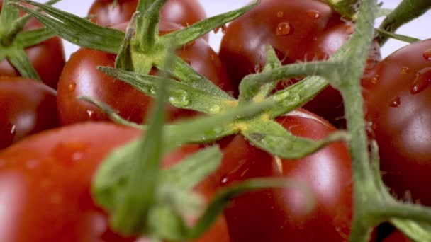 Nahaufnahme Und Detailaufnahme Haufen Frischer Tomaten — Stockvideo