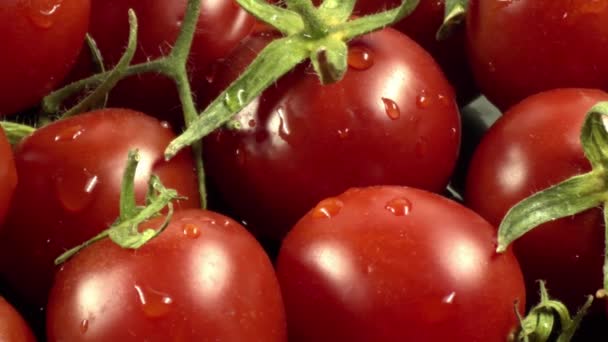 Närbild Och Detaljerad Skotthög Med Färsk Tomat — Stockvideo