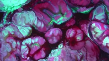 Soyut Organik Girdap, Ayrıntılı Yüzey Renkli Boyaları 'nda Sonsuz Gerçeküstü Hipnotize Etme