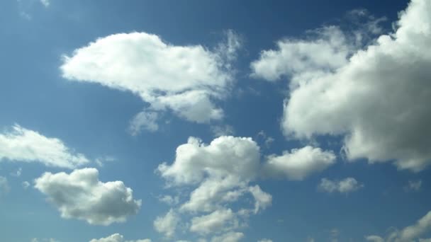 白色蓬松的春天积雨云在天空中飘扬 — 图库视频影像
