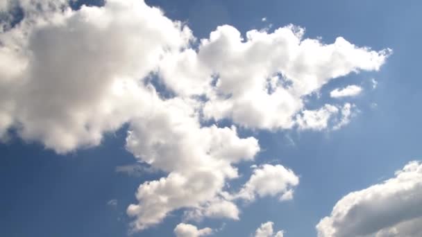 Bílé Nadýchané Jarní Cumulus Déšť Mraky Pohybující Obloze Záběry — Stock video