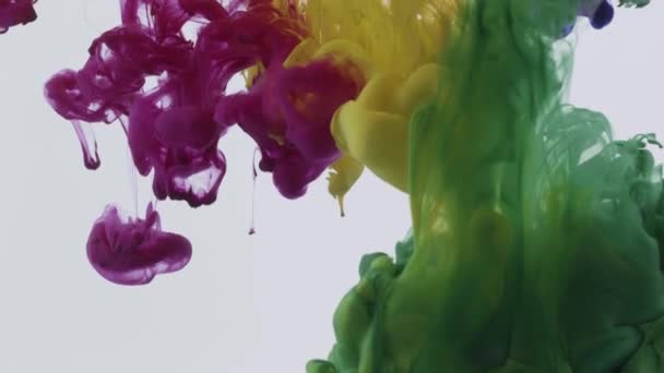 抽象的なカラフルな色水にペイントインク滴は 白の背景とスローモーション映像を広げ — ストック動画