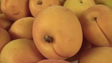 Pazar Sayacı 'ndaki Taze Kayısı Yığını Yakın Çekim.