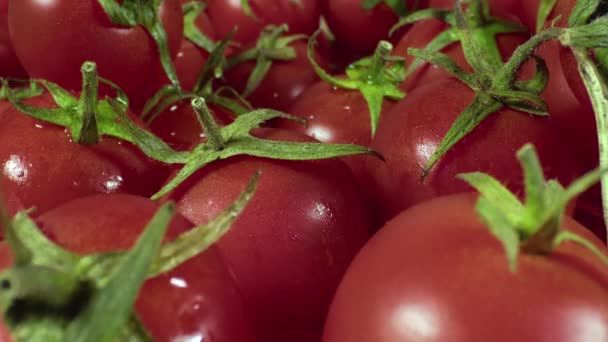 Großaufnahme Haufen Frischer Tomaten Auf Dem Markt — Stockvideo