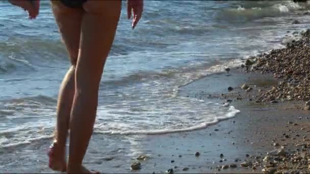 Duas Jovens Mulheres Segurando Mãos Andando Pela Praia — Vídeo de Stock