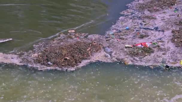 Грязные Люди Воды Пластиковые Отходы Загрязнения — стоковое видео