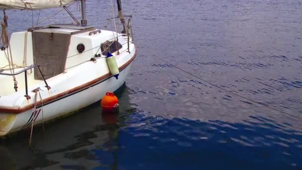 Promenade Boot Aangemeerd Aan Pier Bij Jachthaven — Stockvideo