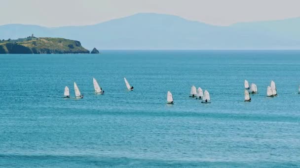 Láser Mar Deporte Carreras Preparación Vela Formación — Vídeos de Stock