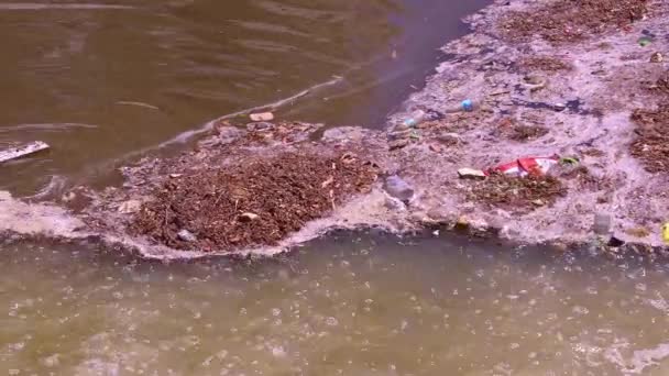 小川の映像の中の人間起源のゴミ — ストック動画