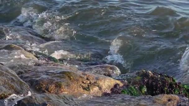 Splashed Droplets Water Hit Cliffs Beach Footage — Αρχείο Βίντεο