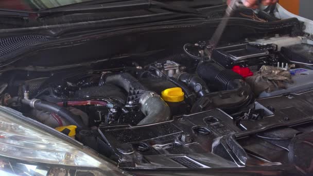 Lavado Limpieza Reparado Motor Coche Con Productos Químicos Durante Servicio — Vídeos de Stock