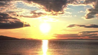 Sarı Bulutlu Gün Batımı ve Uçan Kuşlar