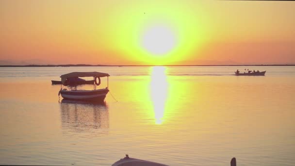 Vissers Keren Terug Naar Huis Bij Zonsondergang — Stockvideo