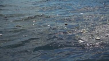  Çöp Kirliliği Çöpü Atık 