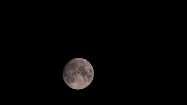 Luna Llena Moviéndose Negro Oscuro Noche Cielo Filmación — Vídeo de stock