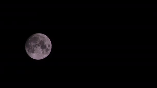 Luna Llena Moviéndose Negro Oscuro Noche Cielo Filmación — Vídeos de Stock