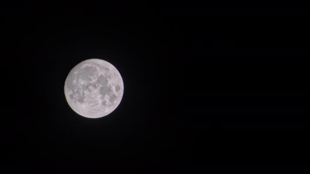 Full Moon Moving Dark Black Night Sky Footage — Stock video