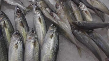 Bir Sokak Marketinde Balık Dükkanı.  