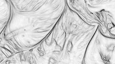 Sıvı siyah ve beyaz boyaların akışkanlığıyla oluşan bu desenler, renklerin birbirine karışmasıyla oluşan büyüleyici harmoni ve dinamik hareketi gözler önüne seriyor. Her damla, bir sonrakiyle birleşince, kendine has bir hikaye anlatıyor..