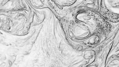 Beyaz ve Siyah Renk Boyasının Soyut Arkaplanı Genişlet ve Girdap Doku Görüntüsü.