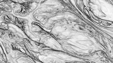 Sanatsal Parıltı Boyası Beyaz ve Siyah Renkler Uyumlu Dans Yayılmış Arkaplan Görüntüsü.