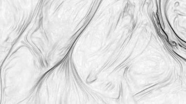 Sıvı Siyah ve Beyaz Renk Boyası Sahnesi Dansı.