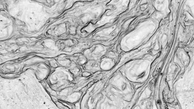 Soyut Harika Siyah ve Beyaz Renk Boya Hareketi Arkaplan Görüntülerini Yayar.