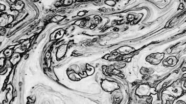 Soyut El Yazısı Siyah ve Beyaz Çizgiler Hareketleri Arkaplan Doku Görüntüsü.