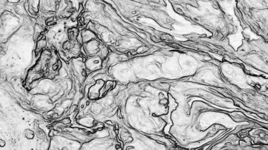 Soyut El Yazısı Siyah ve Beyaz Çizgiler Hareketleri Arkaplan Doku Görüntüsü.