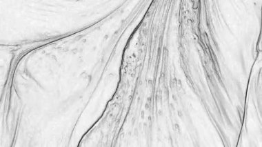 Bu gri tonlu boya dokusu yüzeyin zenginliğini ve maddi detaylarını az gösteriyor. Asgari estetik, profesyonel altyapı için iyi çalışıyor..