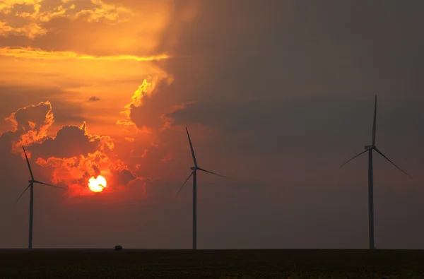 Auringonkukka- ja tuulivoimalat auringonlaskun aikaan — kuvapankkivalokuva