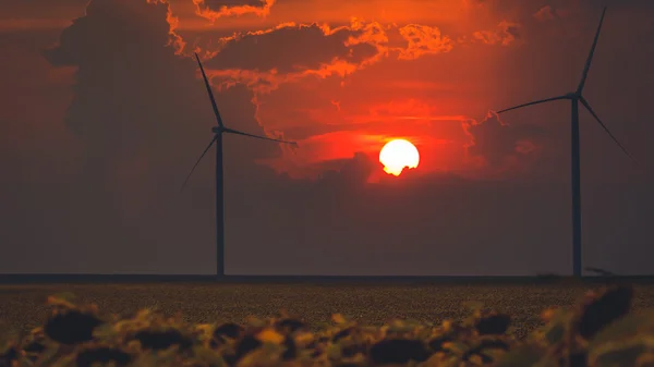 向日葵的字段和风力涡轮机在日落时 — 图库照片