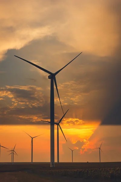 Solros fält och vindkraft turbiner vid solnedgången — Stockfoto
