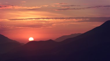 Huş ağacı orman ise yaz sezonu