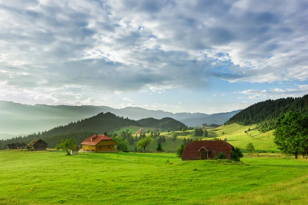 Bela paisagem com grama verde Imagens De Bancos De Imagens Sem Royalties