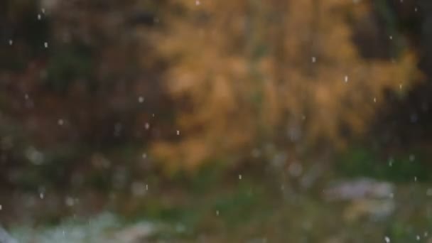 Fortes Chutes Neige Hivernales Blizzard Sur Forêt Fond Conte Fées — Video