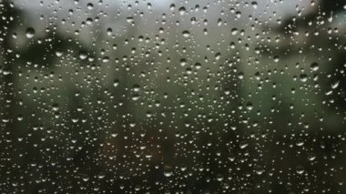 Soğuk ilkbaharda ya da yaz gününde penceredeki yağmur damlalarının odak noktasını kapat. Dairenin içinden üzücü yağmurlu bir gün. Pencereden yeşil ağaçlara bak