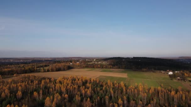 Vista Aérea Drone Belos Campos Montanhas Exuberante Floresta Calma Outono — Vídeo de Stock