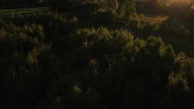 Gün batımında dağların tepesinde çayır ve yeşil karışık ormanın ilham verici destansı insansız hava aracı görüntüleri ulusal parkı veya rezervi koruyor. Güneş ışınlarındaki ağaçlar. Gezgin şehvet hedefi