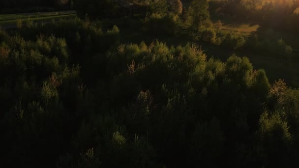 迷人的史诗般的无人驾驶镜头 拍摄落日时分高山中的草地和绿油油的混合森林 受保护的国家公园或保护区 阳光下的树 流浪欲望目的地 — 图库视频影像