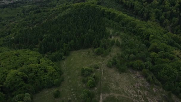 空中无人俯瞰乡村 夏日多云的田野 具有小建筑物的农村地区背景美丽的山水风光 自然生长 放松的灵感 — 图库视频影像