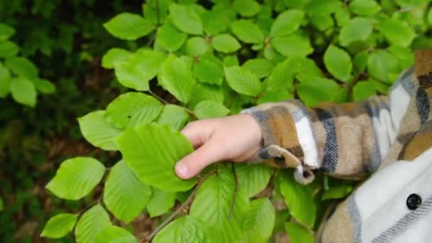 Vue Latérale Rapprochée Des Mains Petite Fille Préscolaire Méconnaissable Caressant — Video