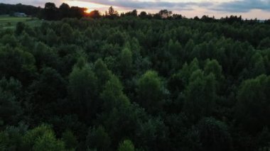 Sabahları renkli günbatımında yaz dağlarının hava görüntüsü. Dağ sırasının orman yamaçları. Güneşin parlak diski yavaşça dağların tepesine çıkar. Dramatik gün doğumu gökyüzü arkaplanı