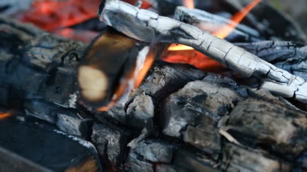 小さな火花を飛んで穏やかな火の製錬と石炭の美しいとなだめるようなビデオのクローズアップ ログを焼く 夏休みのコンセプト 自然な背景 スローモーション — ストック動画
