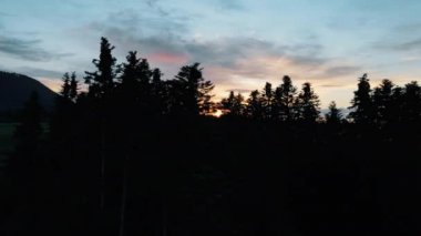 Hayal gibi güneşin doğuşunu ya da kırsal kesimdeki arka plandaki karanlık ormanın üzerinde gün batımını gösteren drone görüntüleri. Gökyüzünün bulutlu renkleri. Yumuşak güneş ışınları ışık sızıntısı yaratır. Romantik seyahat yeri