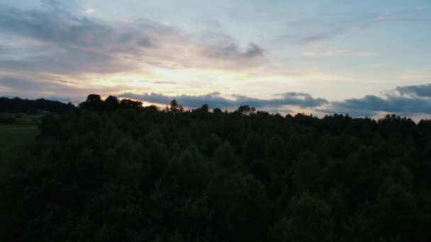 Luchtvlucht Prachtig Rustig Landschap Groen Gemengd Bos Zonsopgang Zonsondergang Licht — Stockvideo