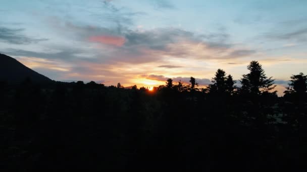 Vue Aérienne Drone Prise Vue Cinématique Des Bois Silhouette Coucher — Video