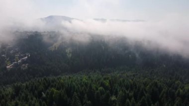 Hava aracı güneşli bir günde bulutların üzerinde uçar evler, sakin yaz dağları ve güzel yeşil orman. Heyecan verici ve büyüleyici sakin bir uçuş sahnesi. Seyahat güzergahı cennet doğa kavramı