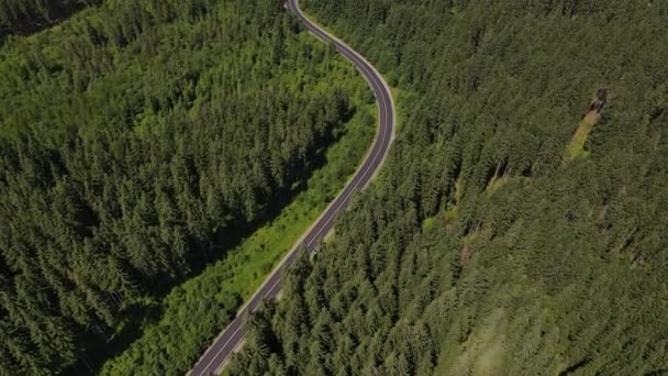 Des images aériennes de drones de voitures traversent une belle route de montagne épique avec des pins le jour de l'été, des routes et un sentiment d'inspiration. Objectifs de style de vie en plein air pour la nouvelle génération de voyageurs