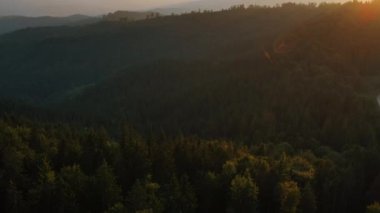 Gün batımında gökyüzüne karşı yeşil kozalaklı çam ormanlarıyla kaplı dağların nefes kesici manzarasını gösteren güzel, ilham verici epik drone görüntüleri. Gezgin şehvet, seyahat konsepti